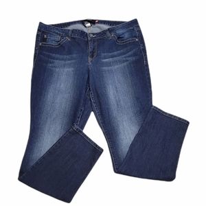 Torrid Denim Straight Leg Stretchy Jeans 20R‎